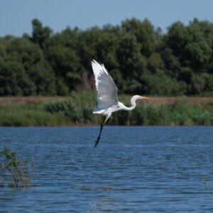 Schifffahrt Walhalla / Bach an der Donau