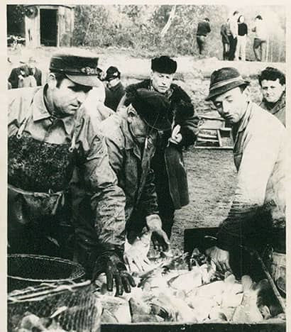 Fisch Maier Mit der Siebnerin zum Fischerfest